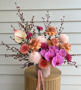 Dream-lover Blooms