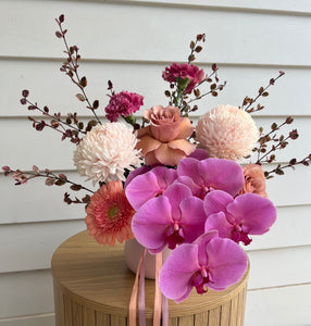 Dream-lover Blooms